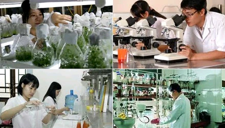 Quang Ninh prioritises science-technology development