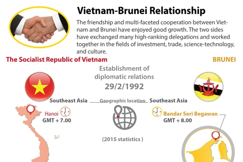 Vietnam-Brunei enjoy growing ties