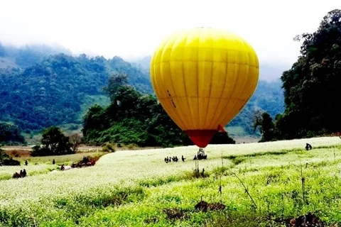  Moc Chau hosts int'l air balloon festival