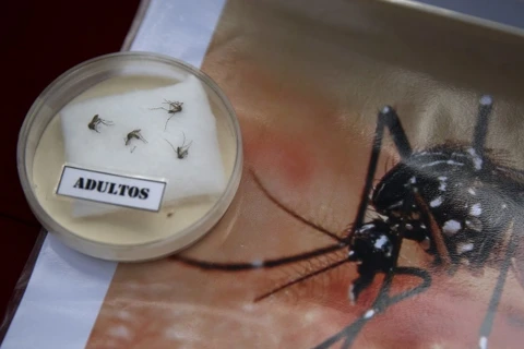 Thailand raises alert level in Zika spread 