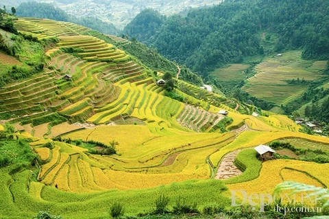 Vietnam, RoK cooperate to develop tourism 