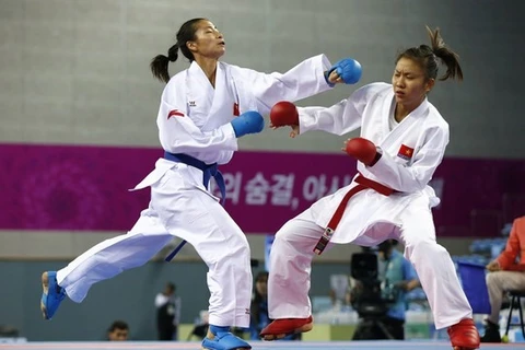 Vietnam participates in world karate champs 