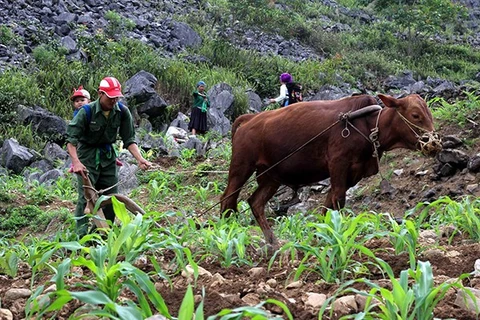 UNDP-funded project promotes sustainable poverty reduction