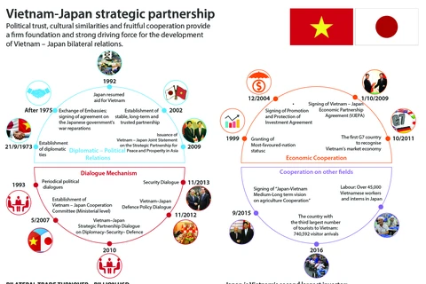 Vietnam-Japan strategic partnership