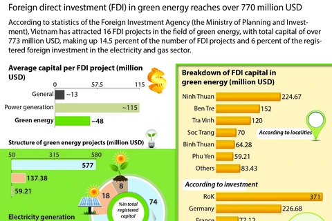 FDI in green energy reaches over 770 million USD