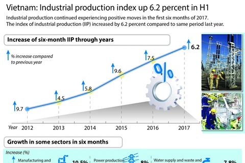 Vietnam: Industrial production index up 6.2 percent in H1