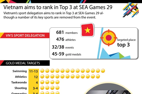 Vietnam aims to rank in Top 3 at SEA Games 29