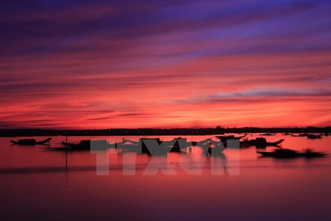 Alluring, tranquil beauty of Quang Loi Lagoon