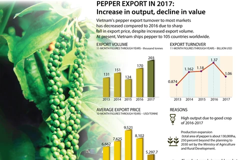 Pepper export in 2017: Increase in output, decline in value