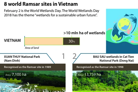 Eight world Ramsar sites in Vietnam