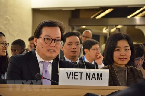 Vietnam will work harder to ensure human rights: ambassador 