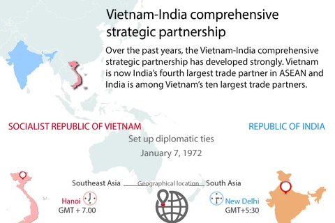 Vietnam-India comprehensive strategic partnership 