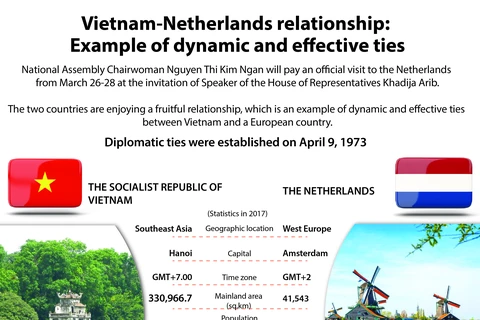 Vietnam-Netherlands relationship:Example of dynamic and effective ties