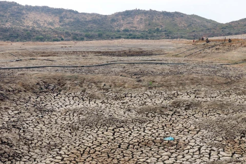 Ninh Thuan province in thirst for water