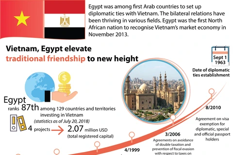 Vietnam, Egypt elevate traditional friendship to new height