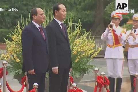 High level visits to shape basis for stronger Vietnam-Egypt ties