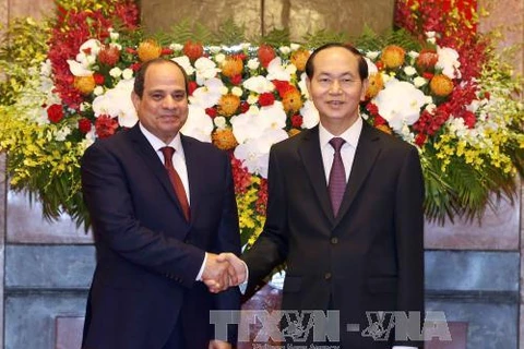 President Tran Dai Quang begins State visit to Egypt