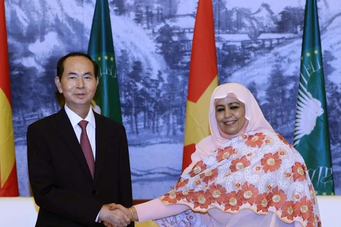 [Mega story] Vietnam boosts friendship with African countries