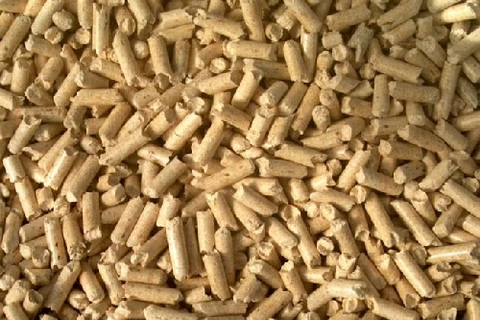 Wood pellets to become future clean energy