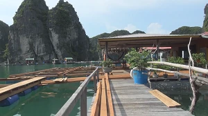 Ha Long turns fishing village into tourist site