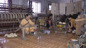 Woman weaves silk from lotus