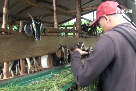 Ethnic man pursues natural farming model