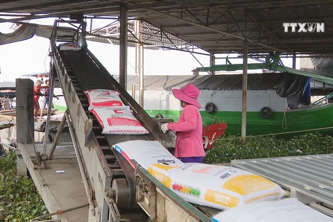 Vietnamese rice now top quality on the international market
