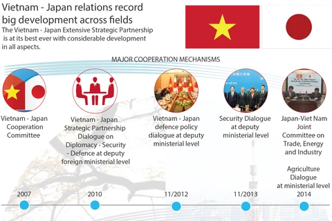 Vietnam - Japan relations record big development across fields 