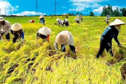 10th World Rice Conference held in Hanoi 