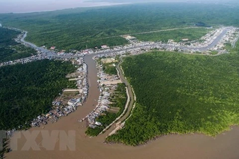 Ca Mau: People join hands in developing eco-tourism