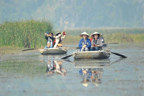 Visitors have a boat tour of Van Long Wetland Nature Reserve (Photo: VNA)