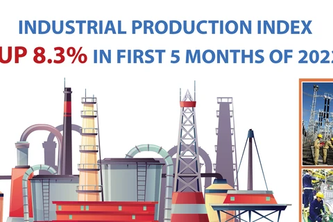 Industrial production index up 8.3% in first 5 months of 2022