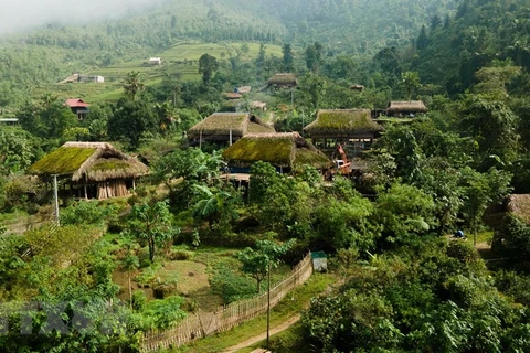 Unique mossy roofs on Tay Con Linh range