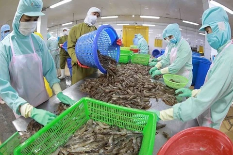 Seafood export takes larger bite out of foreign markets