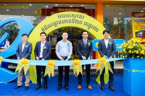 MWG's Bluetronics to reach triple the size of largest competitor in Cambodia