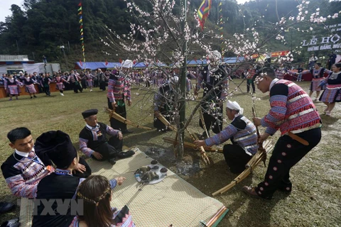 Gau Tao festival - special feature of Mong ethnic people