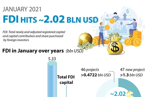 FDI hits 2.02 bln USD in January 