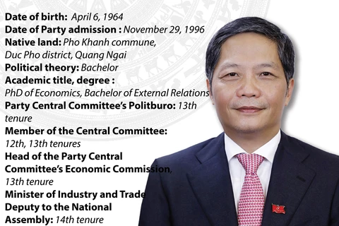 Politburo member, Chairman of the PCC's Economic Commission Tran Tuan Anh