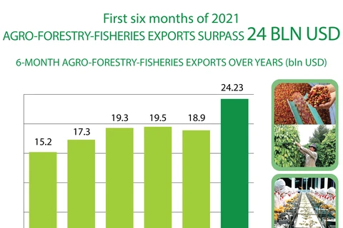 Agro-forestry-fisheries exports surpass 24 billion USD in H1