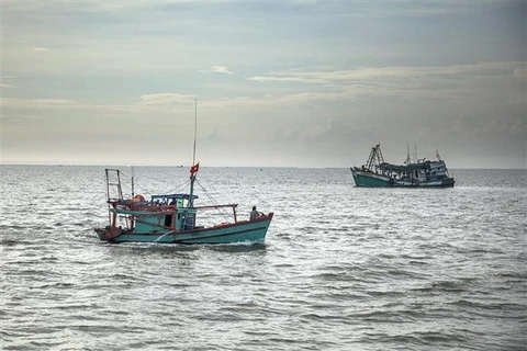 Kien Giang attempts to fight illegal fishing