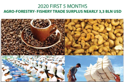 Five-month agro-forestry-fishery trade surplus nearly 3.3bn USD 