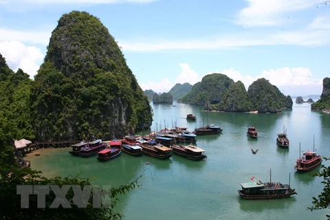 Tourists flock again to Quang Ninh after social distancing 