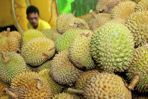 Vietnamese durian given push in Australia
