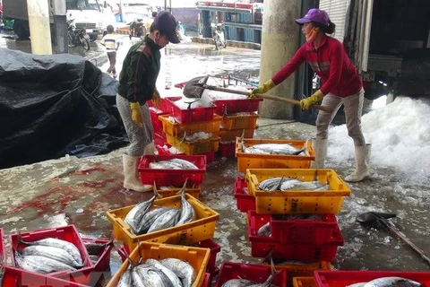 Khanh Hoa fishermen benefiting from fishing technology