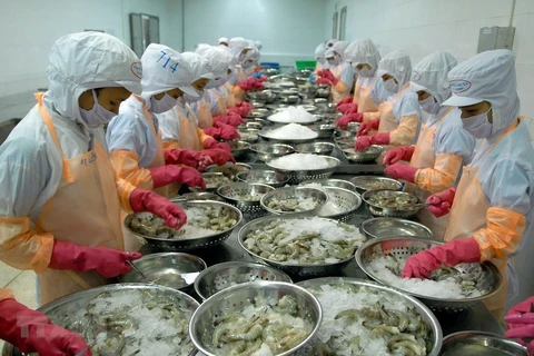 Shrimp exports forecast to reach 3.7 billion USD this year