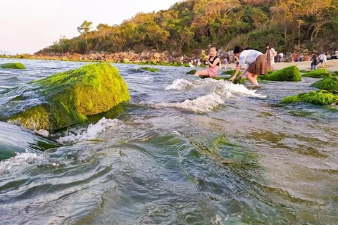 Mossy rocks on Da Nang stunning beach