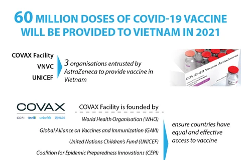 Vietnam to receive 60 million doses of COVID-19 vaccine in 2021