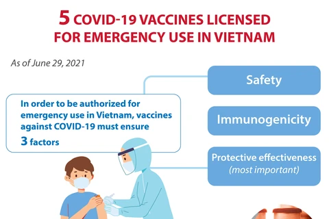 Five Covid-19 vaccines approved for emergency use in Vietnam