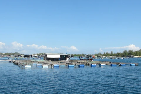 Khanh Hoa heading towards sustainable development of aquaculture