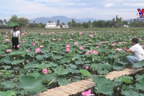 Community-based tourism thriving in Ninh Thuan